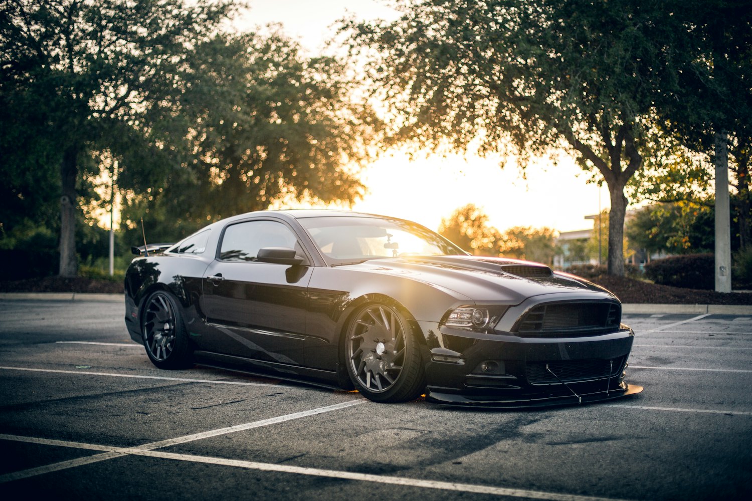 Glossy black coupe after an exterior detail at golden hour